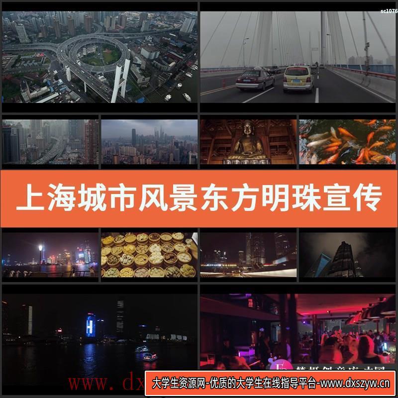 上海城市风景 东方明珠宣传片立交桥水族馆夜景LED实拍视频素材-大学生资源网