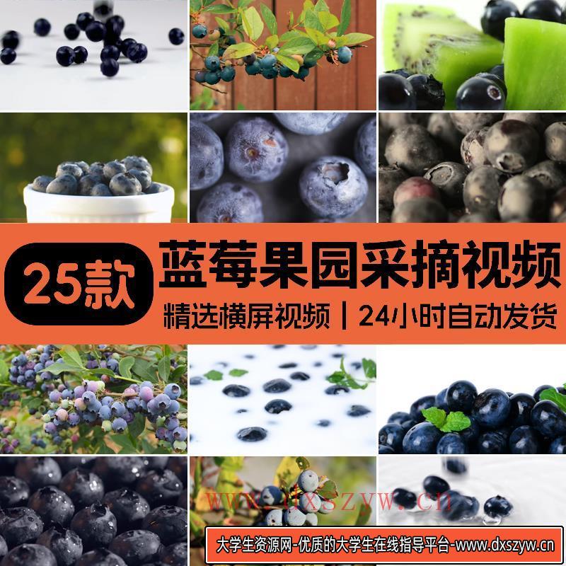 蓝莓果园采摘成熟蓝莓树上果实特写种植农庄高清实拍剪辑视频素材-大学生资源网