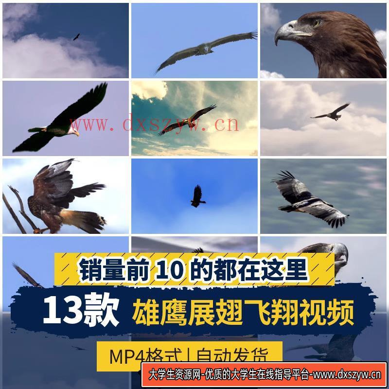 雄鹰飞翔鹰眼翱翔大鹏展翅长空飞行老鹰高飞过雪山励志短视频素材-大学生资源网
