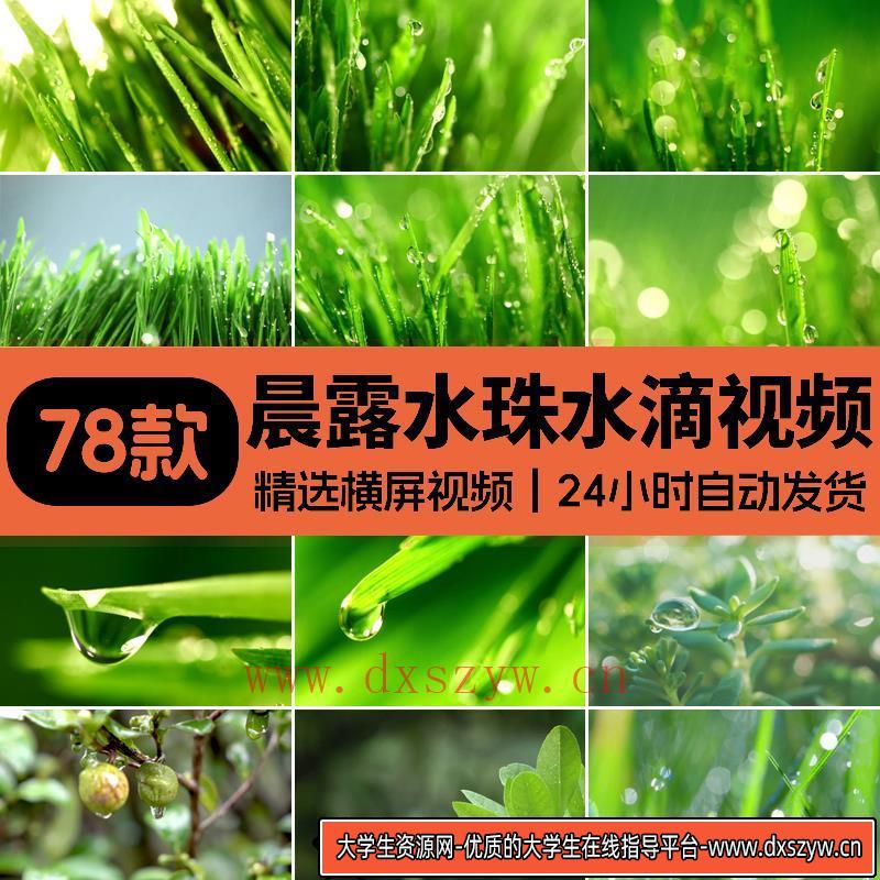 晨露树叶子水珠水滴空镜头大自然植物绿叶雨滴下雨慢镜头视频素材-大学生资源网