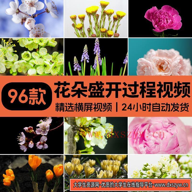 春天鲜花盛开生长过程延时发芽开花植物春暖花开绽放实拍视频素材-大学生资源网