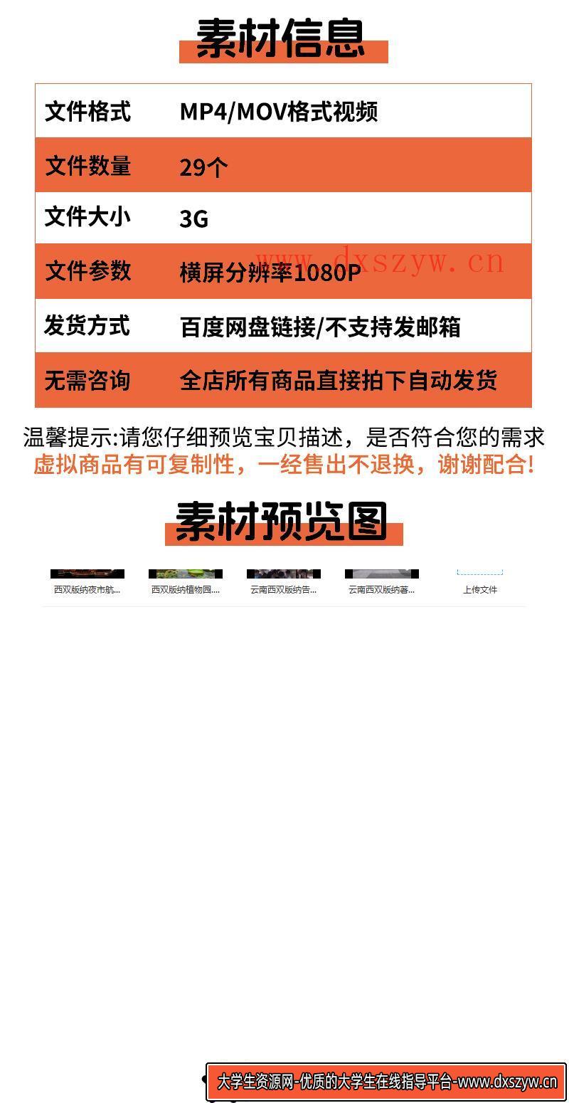 图片[2]-西双版纳傣族园泼水节热带雨林告庄星光夜市夜景旅游风景视频素材-大学生资源网