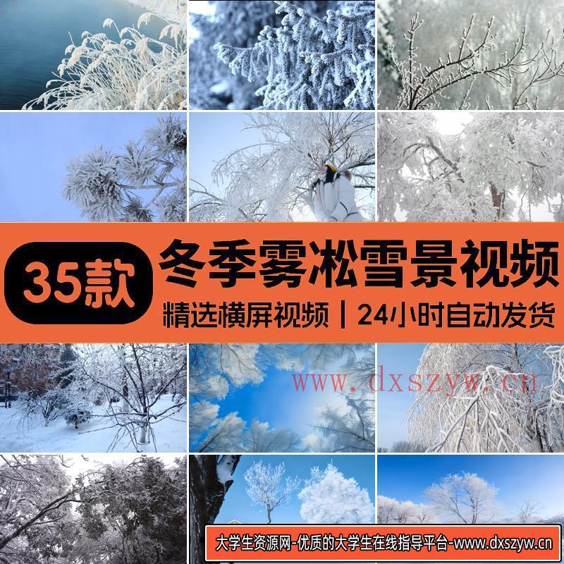 冬季雾凇美景冬天树枝雪松积雪特写雪景冬日冰天雪地剪辑视频素材-大学生资源网