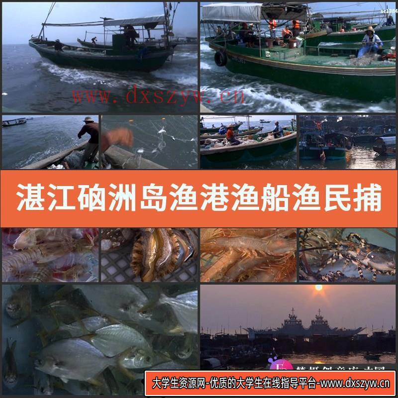 湛江硇洲岛渔港渔船渔民捕打鱼虾渔业海鲜高清实拍视频素材-大学生资源网