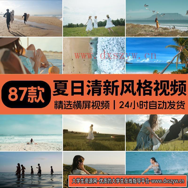 夏日海滩夏天海边沙滩热带度假夏季唯美清新自然风景剪辑视频素材-大学生资源网