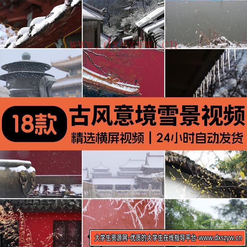 古风下雪意境雪景禅意冬天唯美雪花飘雪飘落空镜头实拍短视频素材-大学生资源网