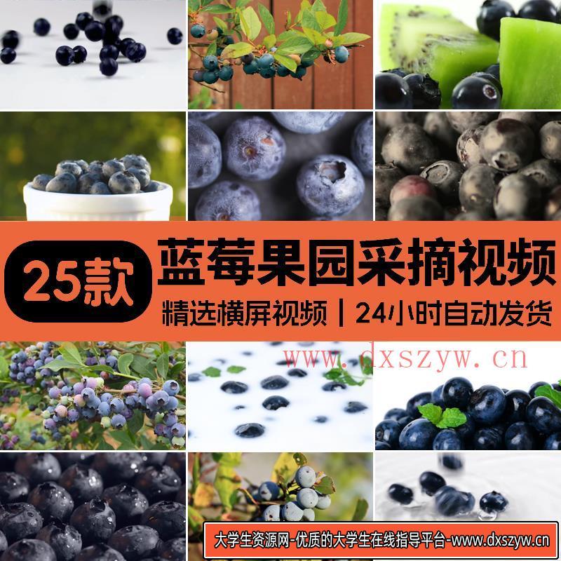 蓝莓果园采摘成熟蓝莓树上果实特写种植农庄高清实拍剪辑视频素材-大学生资源网