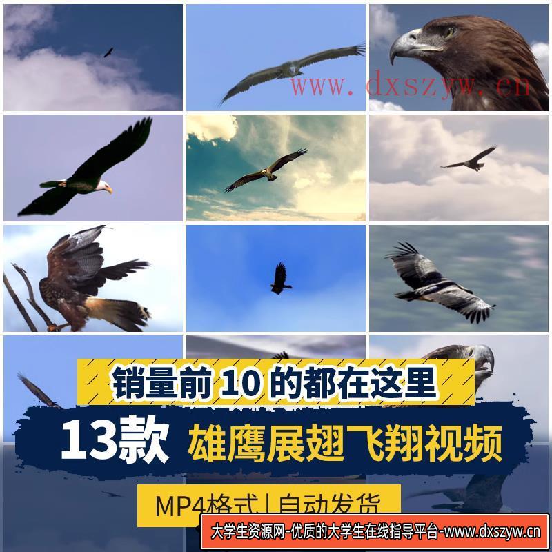 雄鹰飞翔鹰眼翱翔大鹏展翅长空飞行老鹰高飞过雪山励志短视频素材-大学生资源网