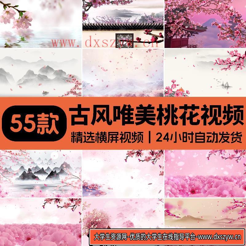 唯美桃花飞舞飘落花瓣中国风古典古风大屏幕舞台LED背景视频素材-大学生资源网