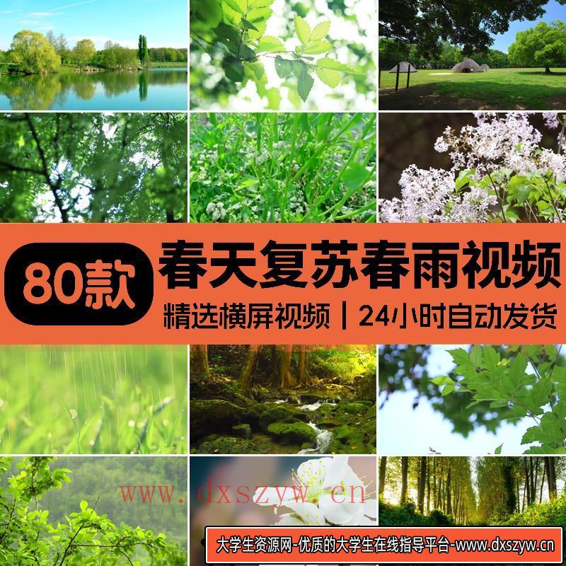 春天阳光明媚春暖花开桃花万物复苏发芽柳树嫩芽小鸟春雨视频素材-大学生资源网