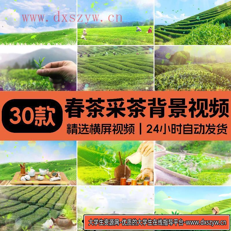 采茶舞曲茶山情歌舞台LED大屏背景喝茶品茶茶园茶山风景视频素材-大学生资源网