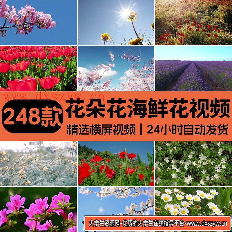 高清花朵花海鲜花花草植物绿植花卉唯美自然治愈系风景4K视频素材-大学生资源网