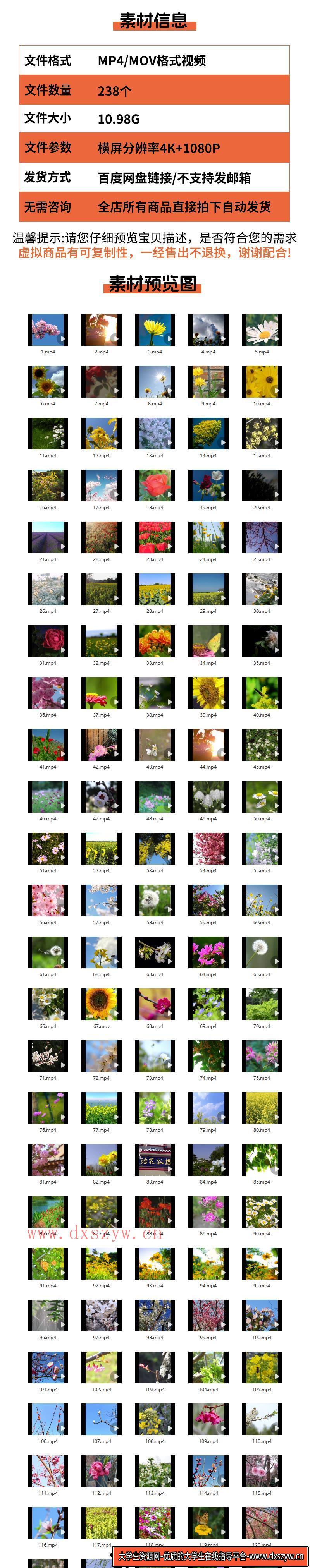 图片[2]-高清花朵花海鲜花花草植物绿植花卉唯美自然治愈系风景4K视频素材-大学生资源网