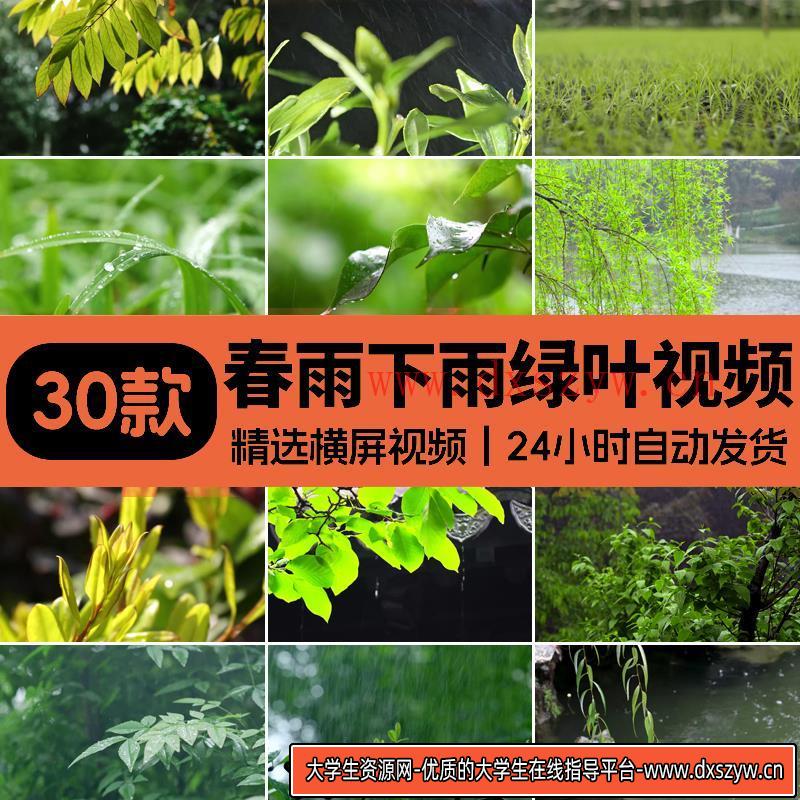 春雨下雨雨滴树叶春季春天绿叶雨滴树叶植物复苏意境实拍视频素材-大学生资源网