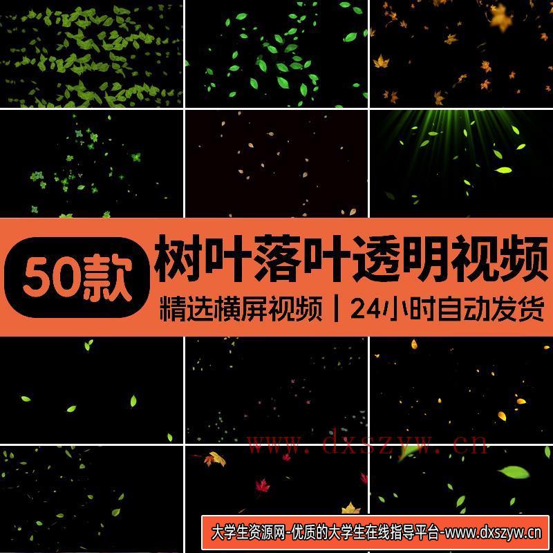 树叶飘落叶清新绿叶子秋天枫叶特效动态MOV透明通道prae视频素材-大学生资源网