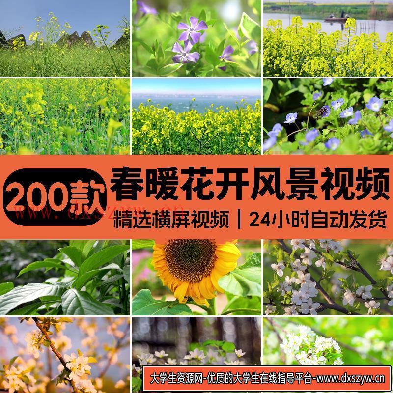 春暖花开春意盎然鲜花盛开花朵春天阳光万物复苏发芽春雨视频素材-大学生资源网