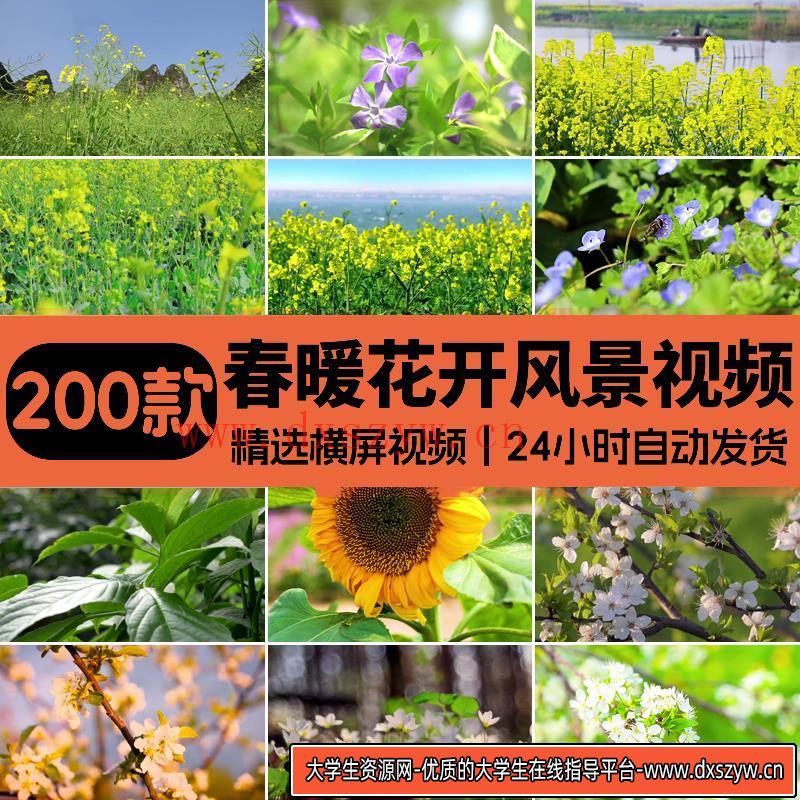 春暖花开放高清春天风景花朵绽放自然植物樱花盛开鲜花短视频素材-大学生资源网