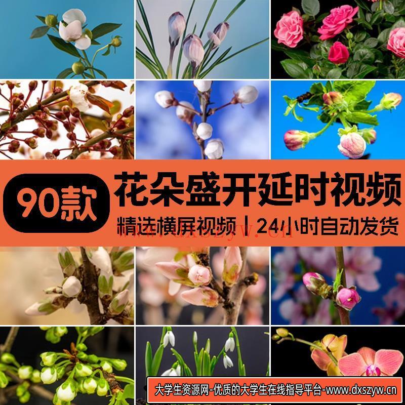 春天植物花草春暖花开花朵鲜花生长盛开绽放过程延时实拍视频素材-大学生资源网