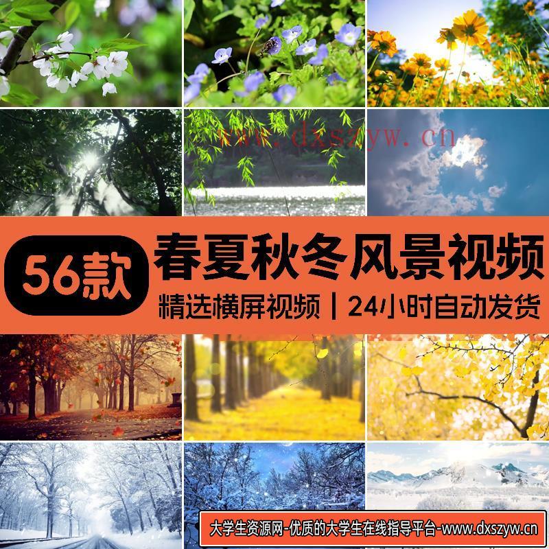 春夏秋冬天四季变换花草一年四季花草雪景LED大屏幕背景视频素材-大学生资源网