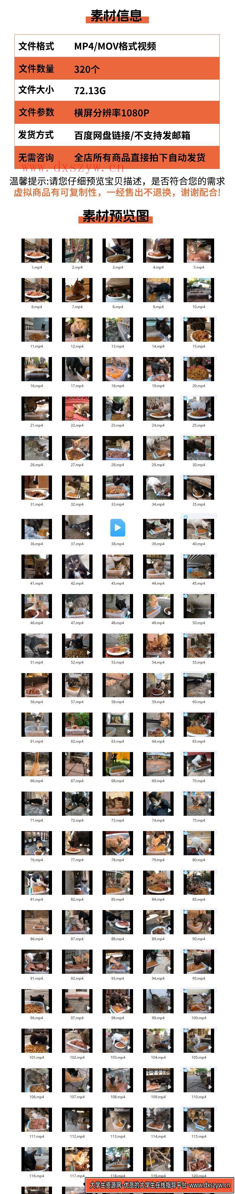图片[2]-国外实拍流浪猫咪觅食投喂猫粮纪实纪录拍摄中视频解说高清素材-大学生资源网