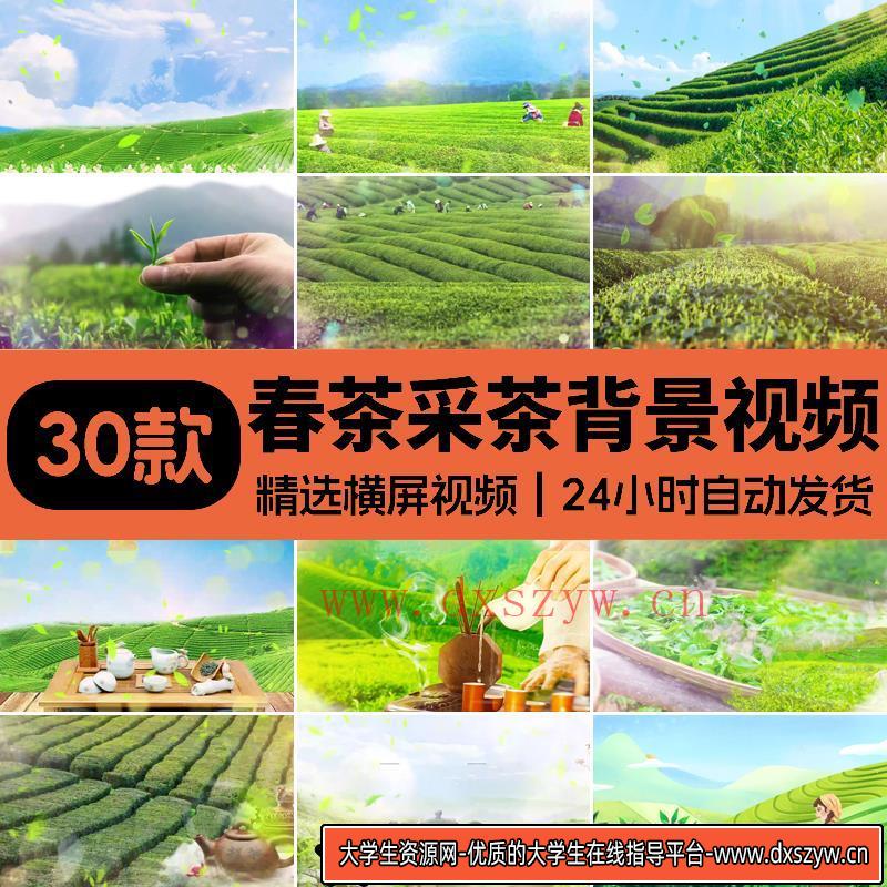 采茶舞曲茶山情歌舞台LED大屏背景喝茶品茶茶园茶山风景视频素材-大学生资源网
