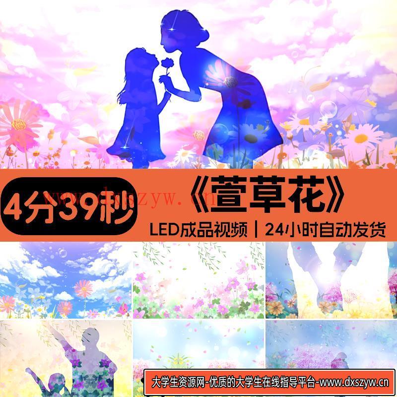 萱草花 歌曲伴奏配乐感恩母亲母爱父母温暖LED大屏幕高清背景视频-大学生资源网