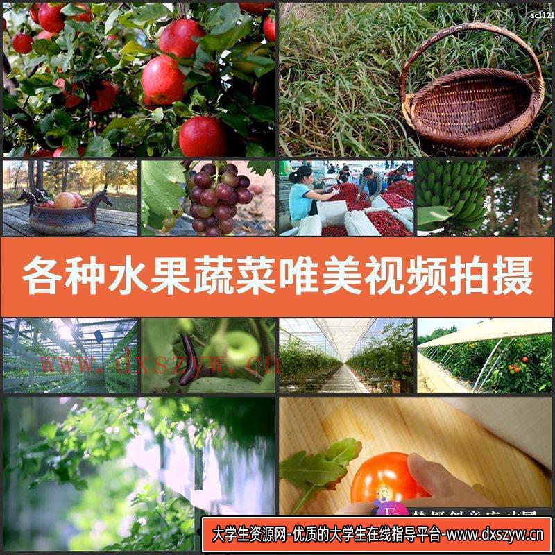 视频素材各种水果蔬菜唯美视频拍摄集锦 生态农业绿色无污染食品-大学生资源网