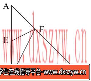 图片[16]-2025年新疆公务员录用考试《行测》试题（网友回忆版）-大学生资源网